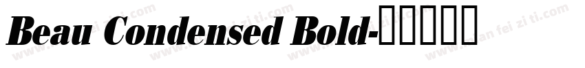 Beau Condensed Bold字体转换